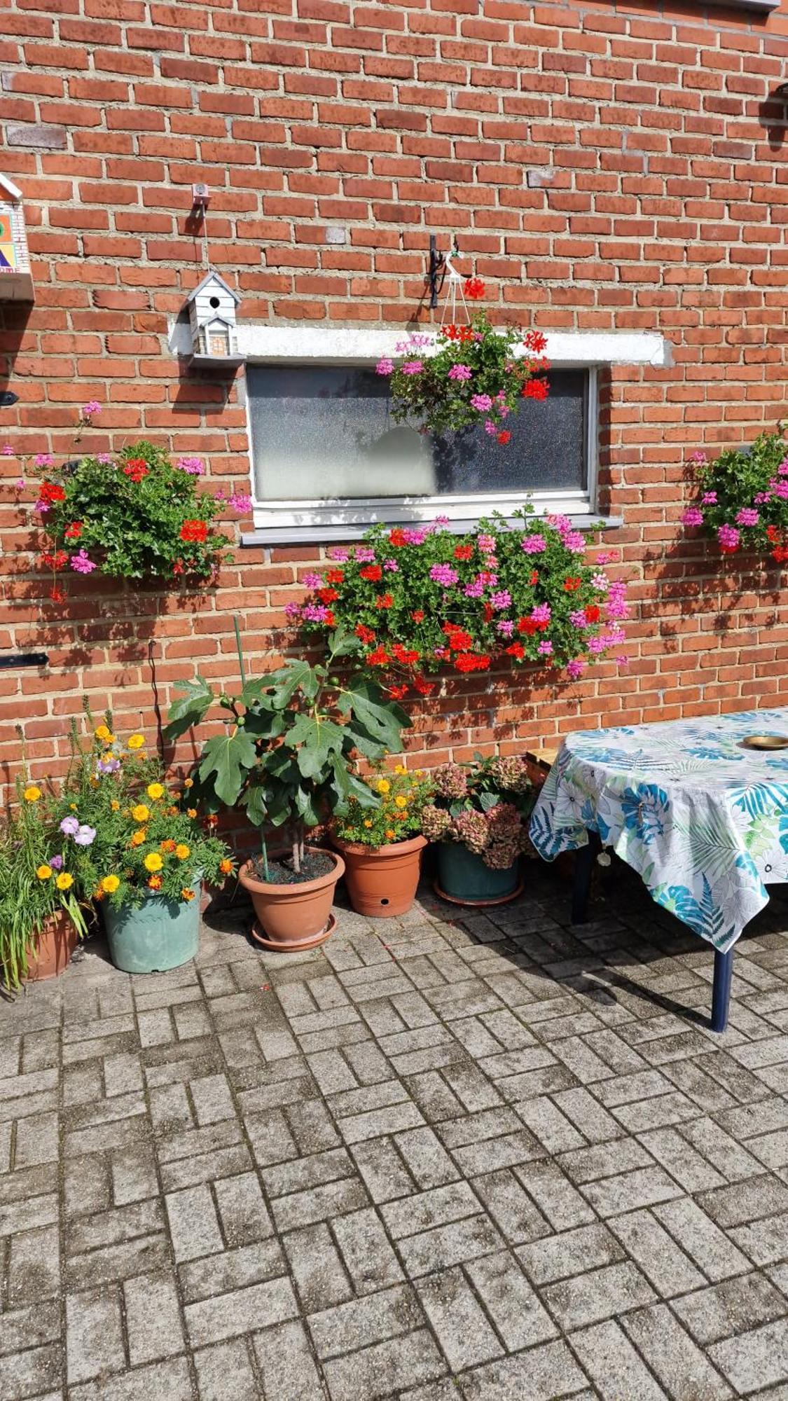 Apartment Mignon *